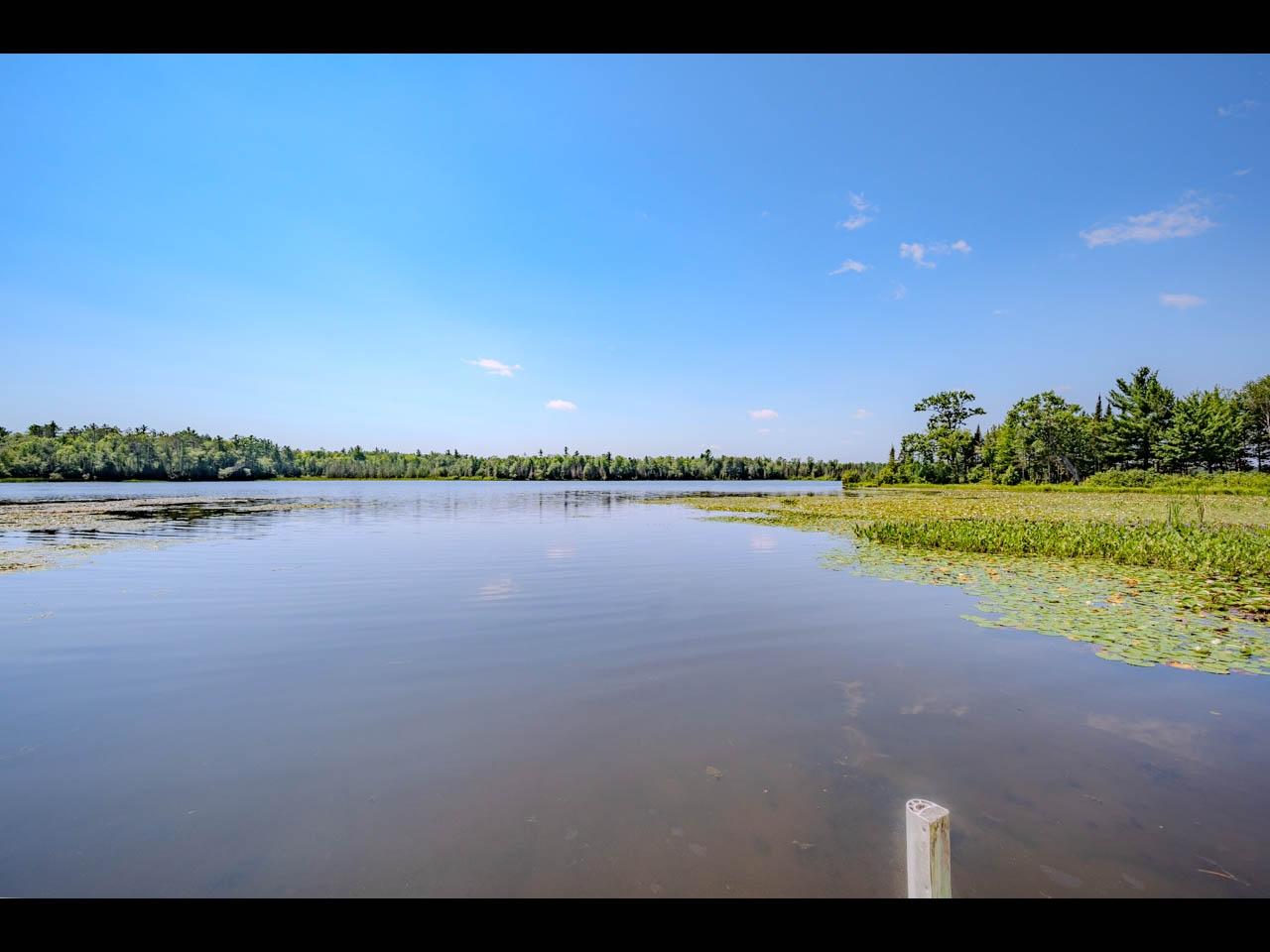 Picture 8 - Wildcat Lake Property 208879