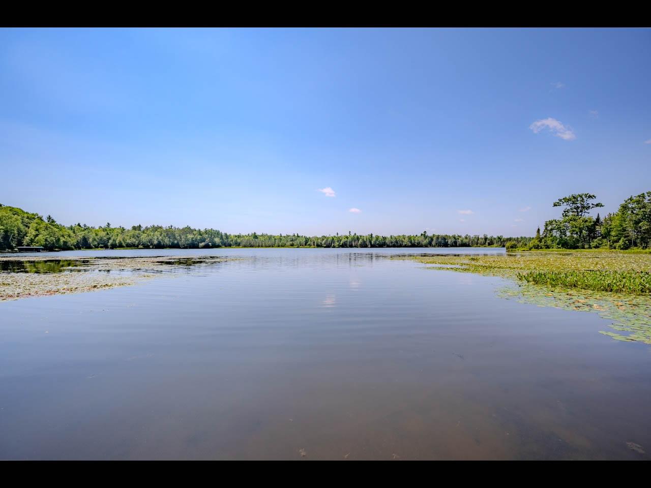 Picture 6 - Wildcat Lake Property 208879