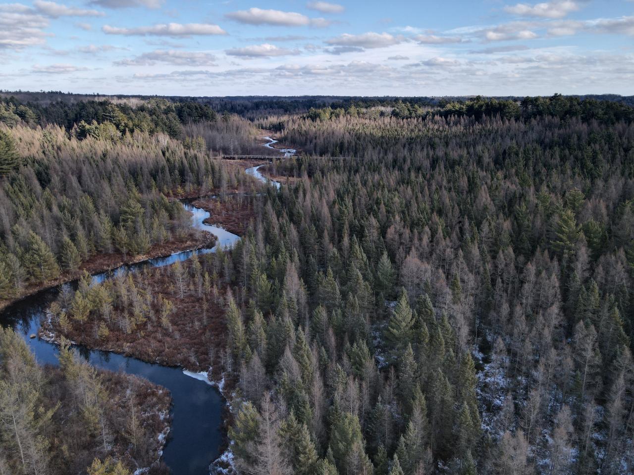 Undocumented Lake Property 5614 Hwy 51 Photo 1