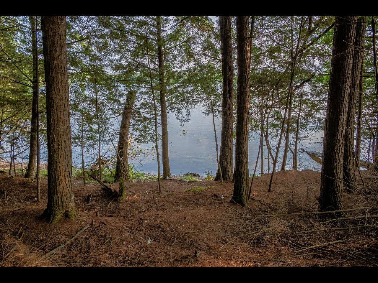 Picture 27 - Two Sisters Lake Property 208983