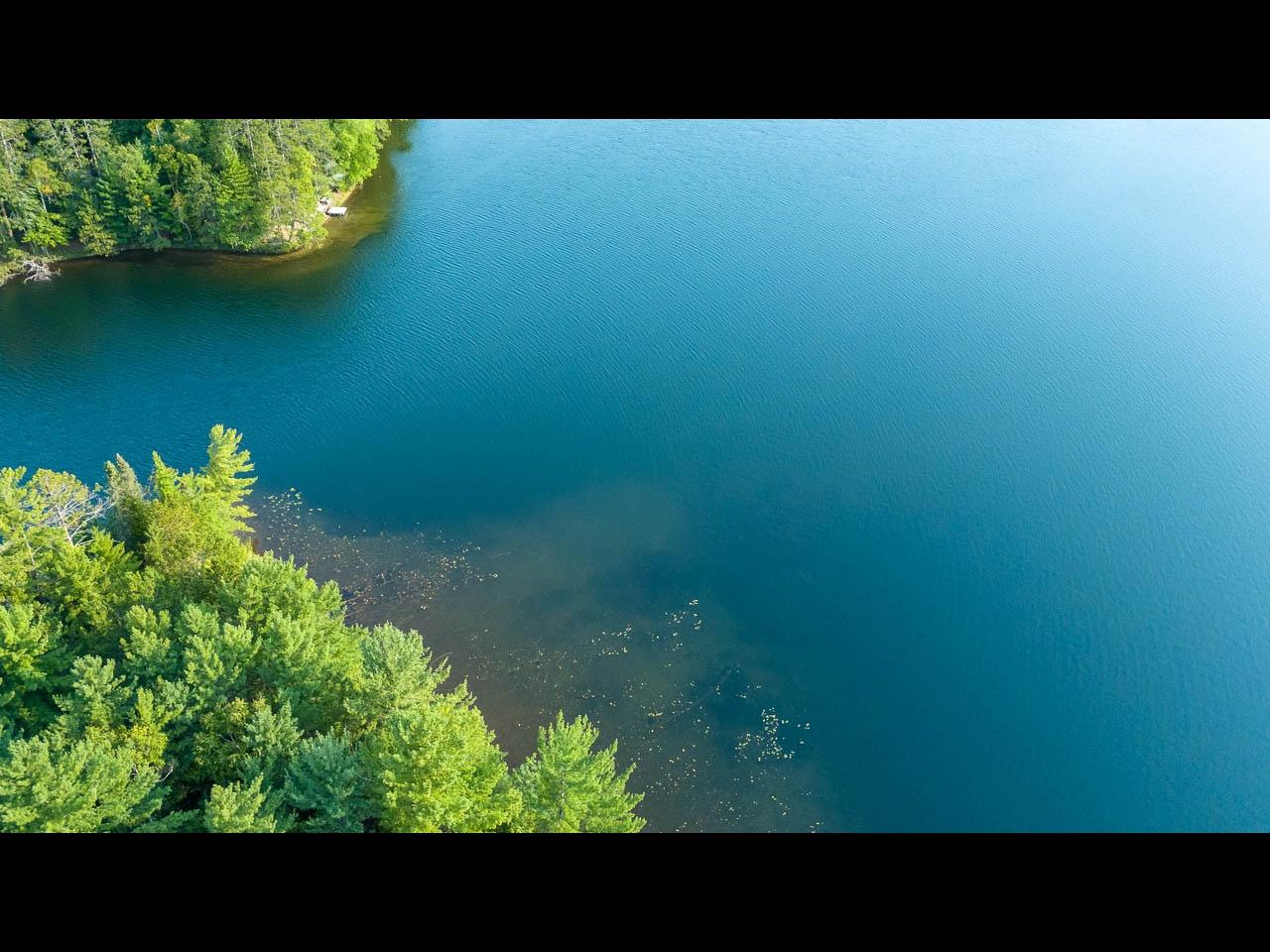 Picture 18 - Two Sisters Lake Property 208983