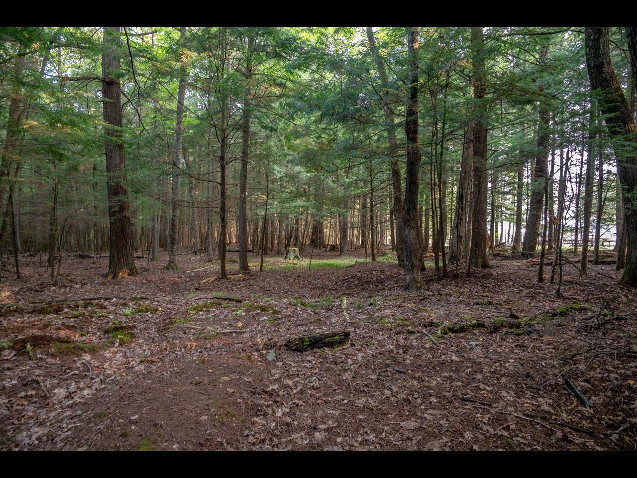 Picture 17 - Two Sisters Lake Property 208983