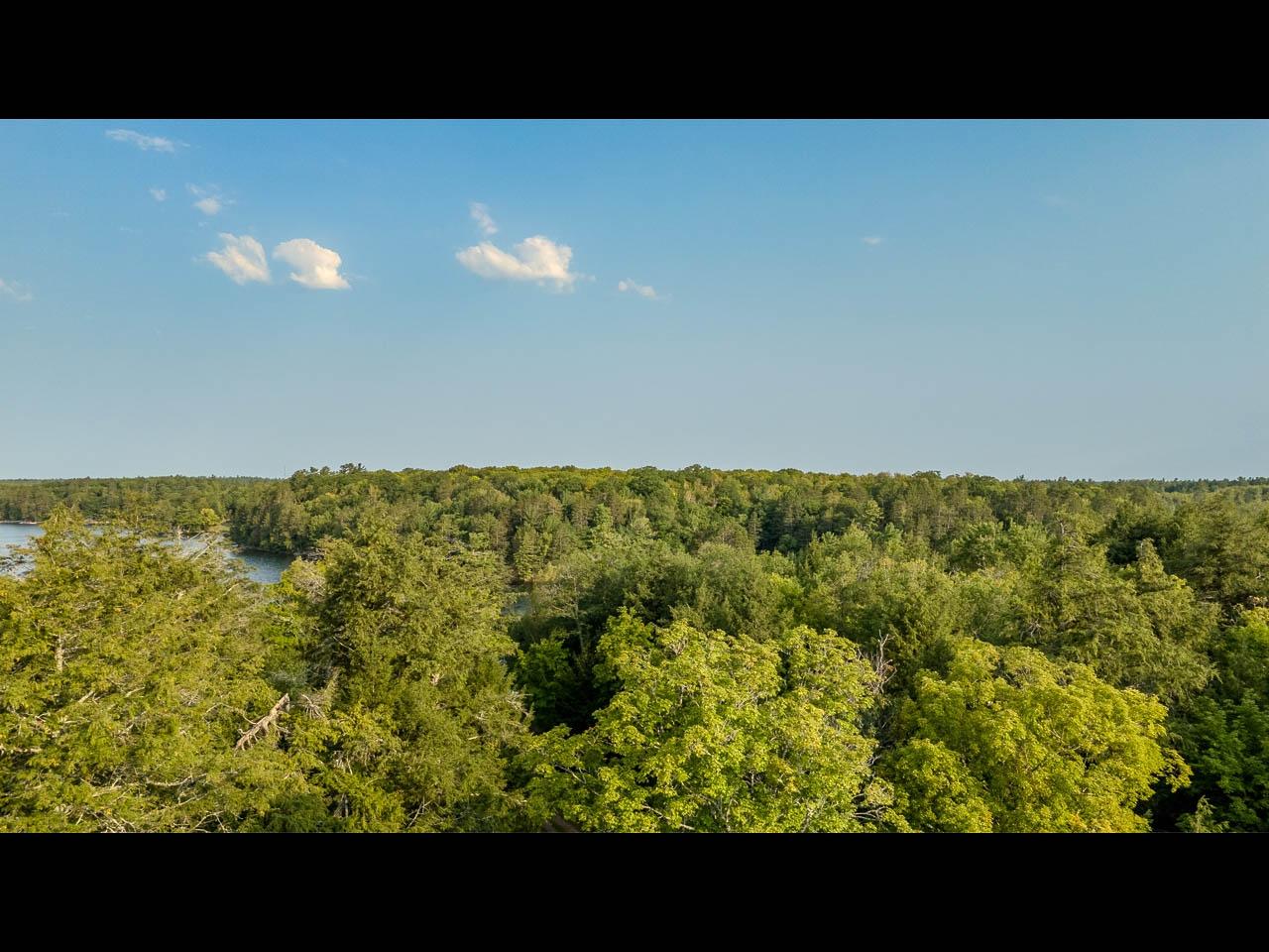 Picture 9 - Two Sisters Lake Property 208983