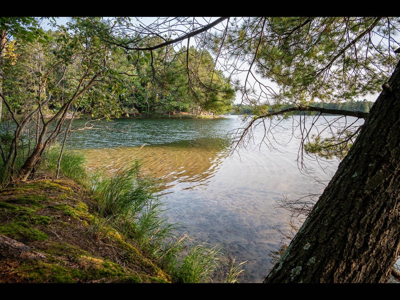 Picture 26 - Two Sisters Lake Property 208983