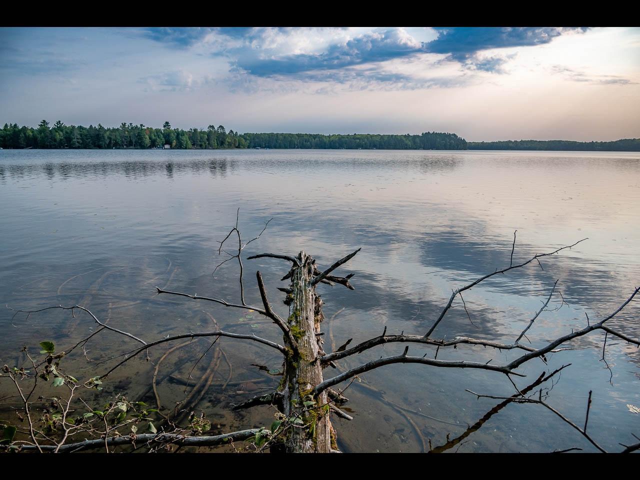 Picture 6 - Two Sisters Lake Property 208983
