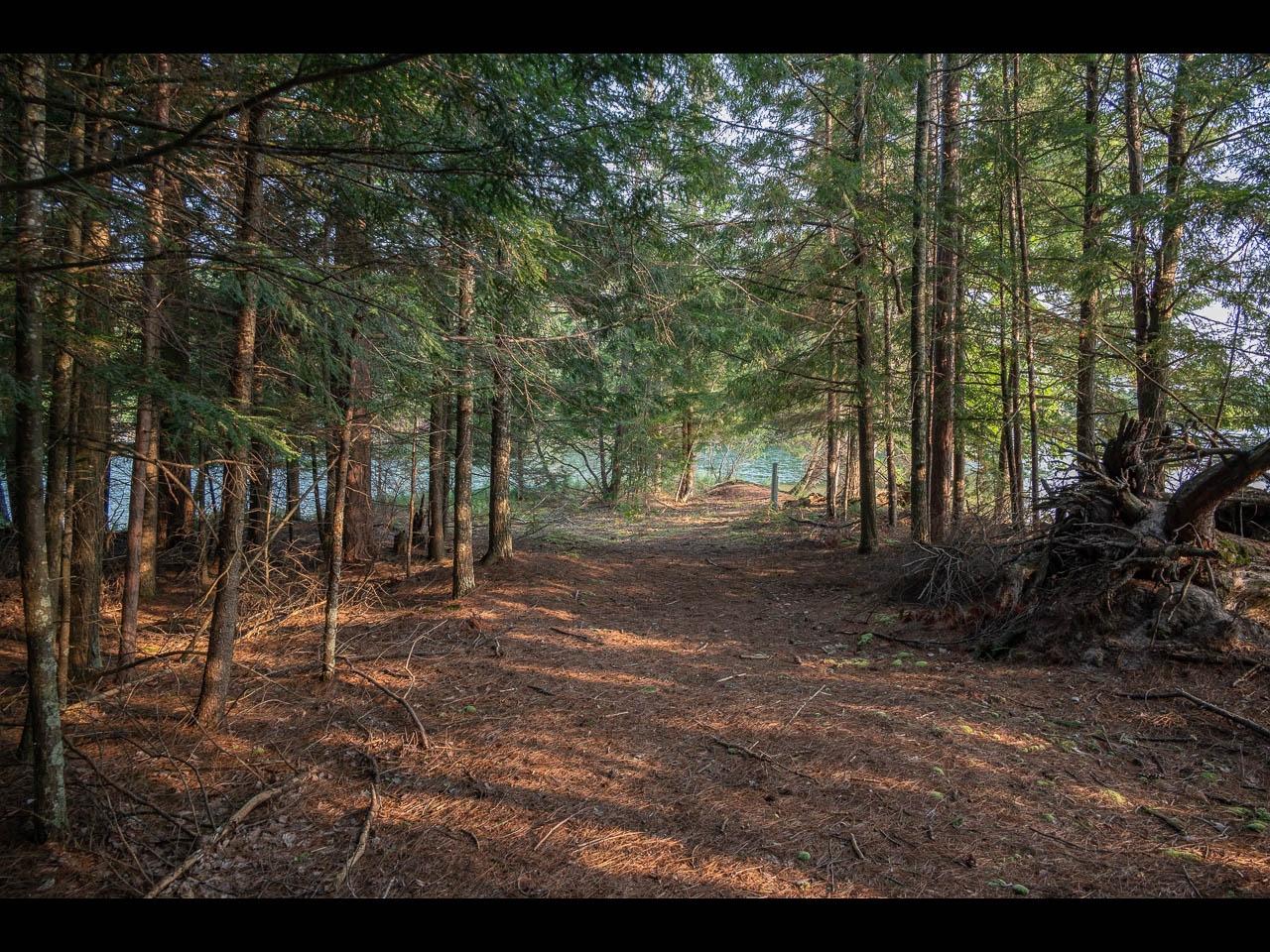 Picture 4 - Two Sisters Lake Property 208983