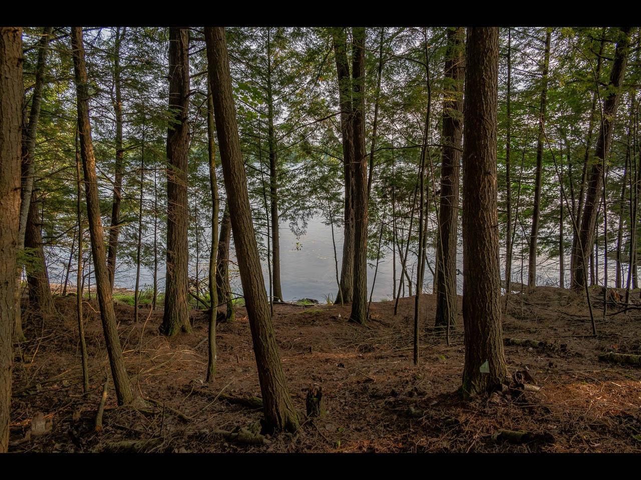 Picture 21 - Two Sisters Lake Property 208983