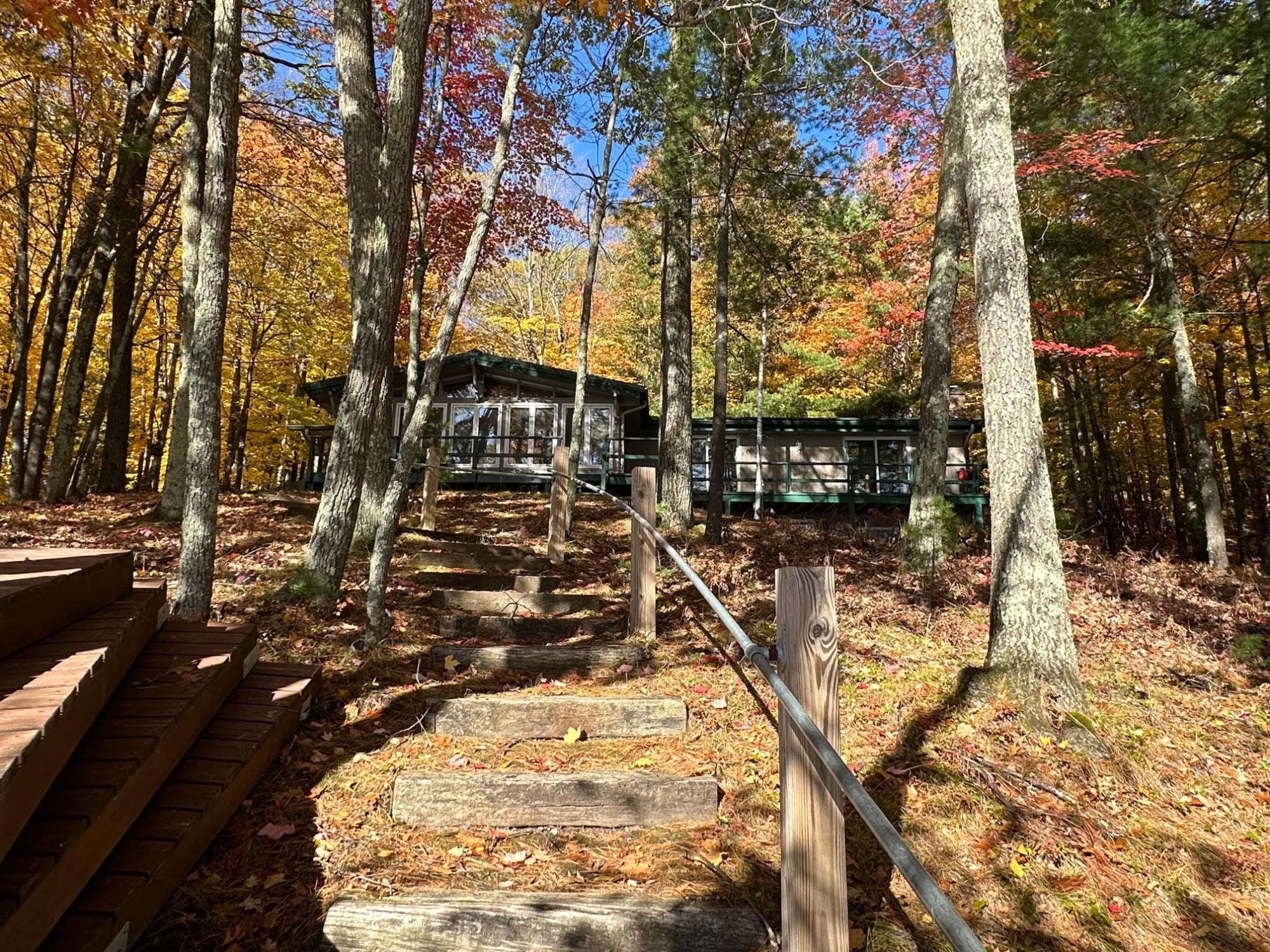 Picture 5 - Lee Lake Property 209607