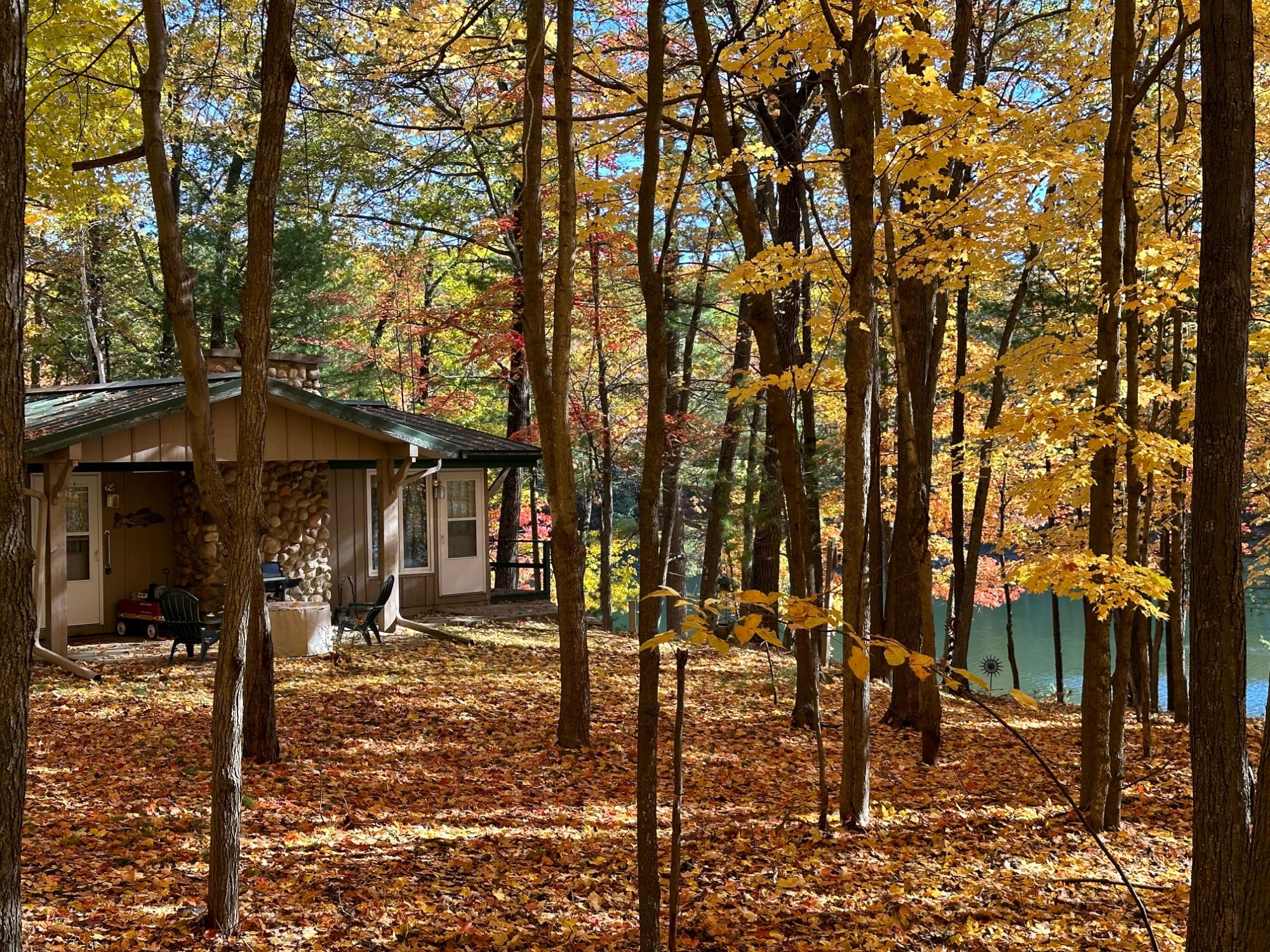 Picture 4 - Lee Lake Property 209607