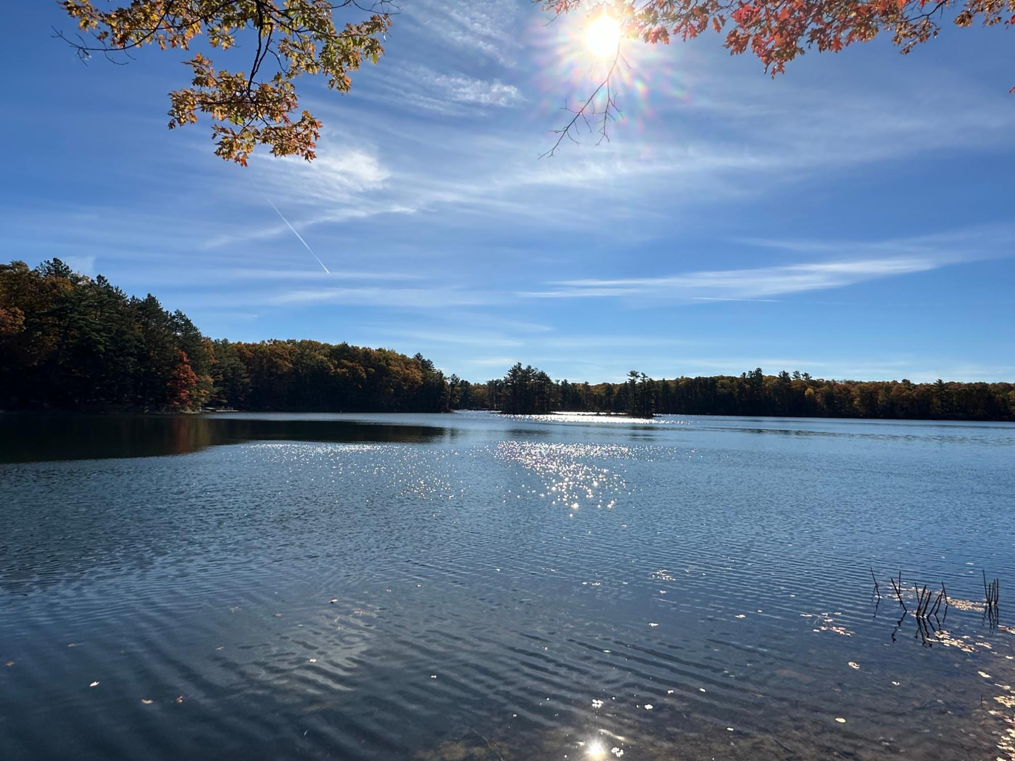 Picture 2 - Lee Lake Property 209607