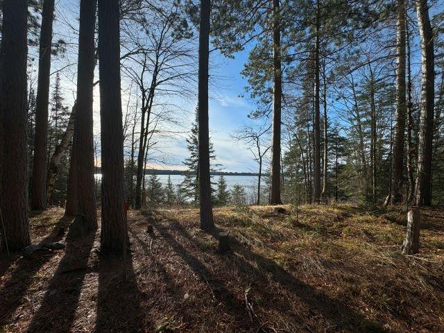 Picture 15 - Harris Lake Property 209889