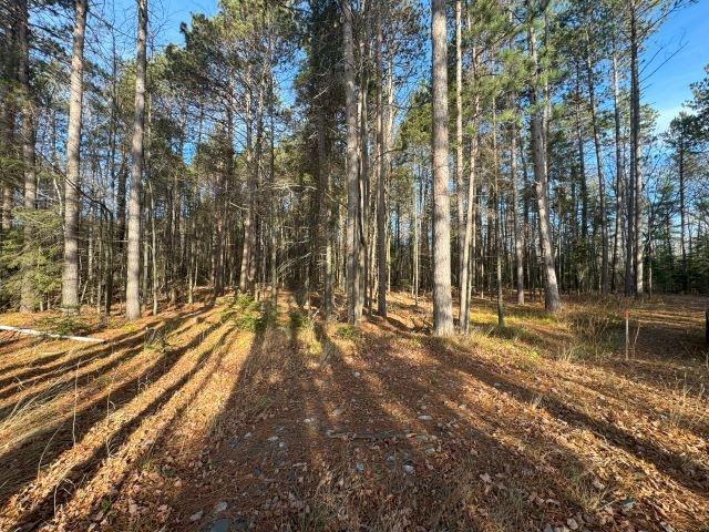 Picture 6 - Harris Lake Property 209889