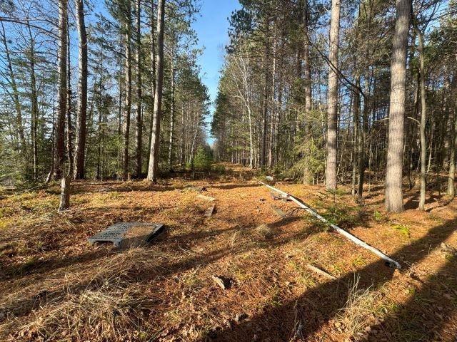 Picture 5 - Harris Lake Property 209889