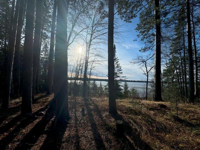 Picture 4 - Harris Lake Property 209889