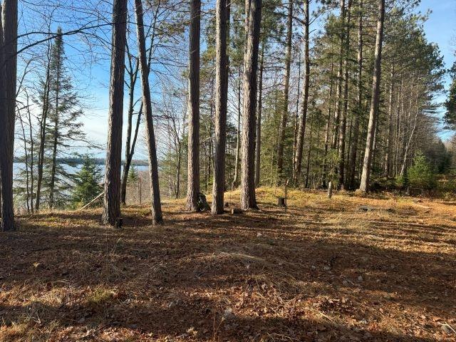 Picture 3 - Harris Lake Property 209889