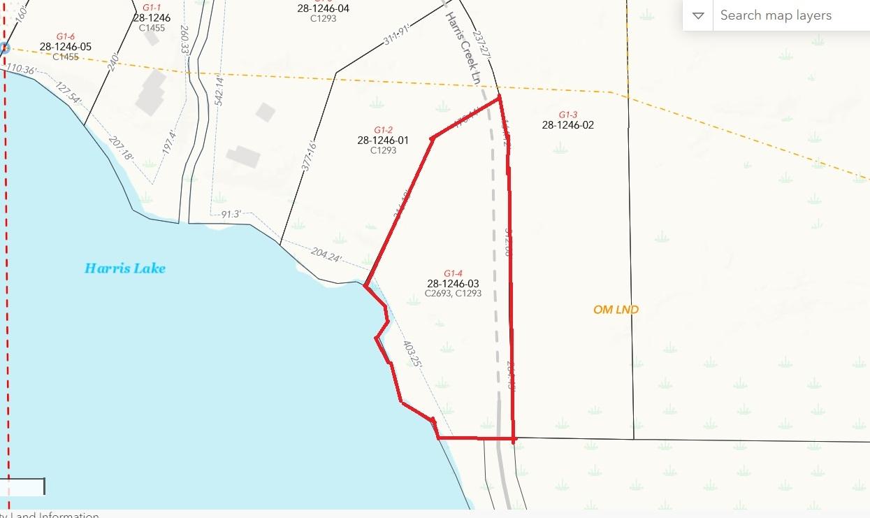 Picture 2 - Harris Lake Property 209889