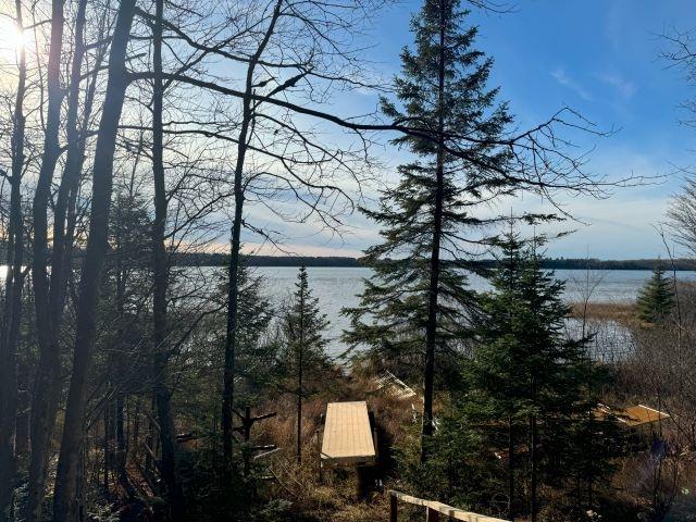 Picture 14 - Harris Lake Property 209889