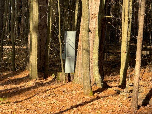 Picture 12 - Harris Lake Property 209889