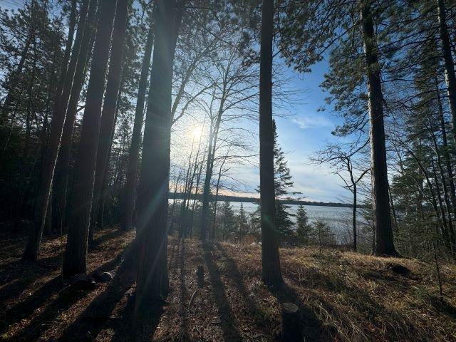 Picture 11 - Harris Lake Property 209889