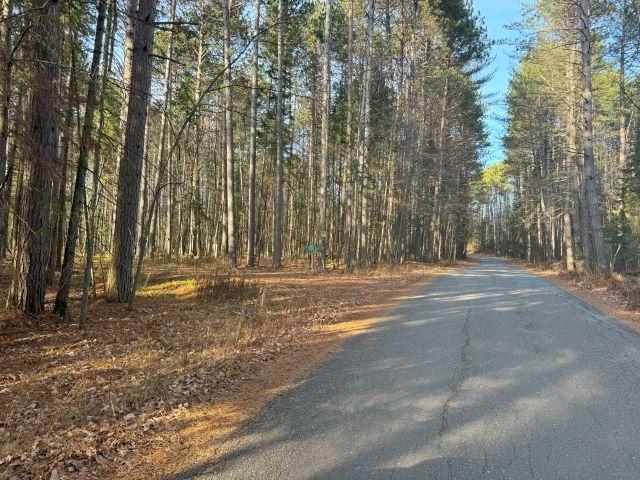 Picture 9 - Harris Lake Property 209889