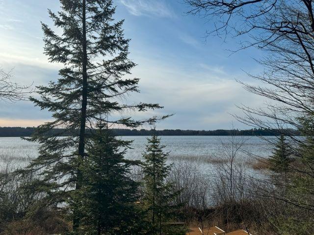 Picture 7 - Harris Lake Property 209889