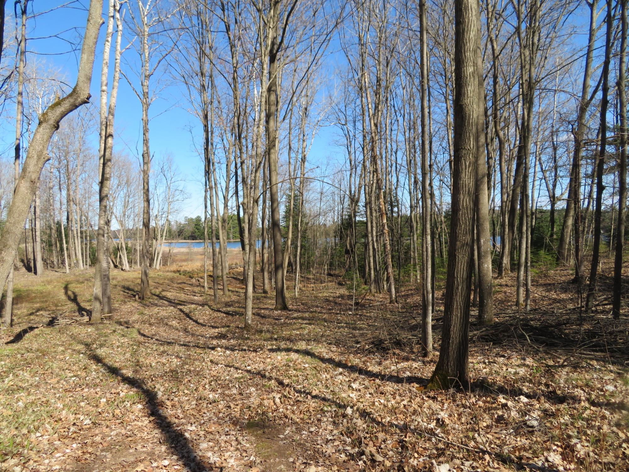 Indian Lake Property ON Hidden Acres Dr Photo 1