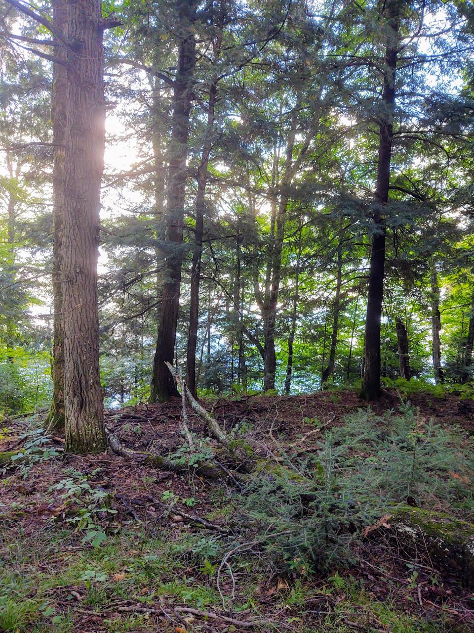 Picture 01 - Mercer Lake (M) Property 210384