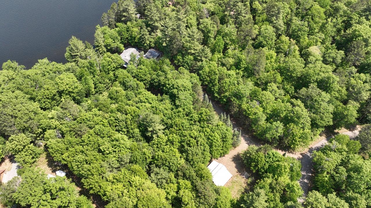 Picture 7 - Lower Buckatabon Lake Property 210497