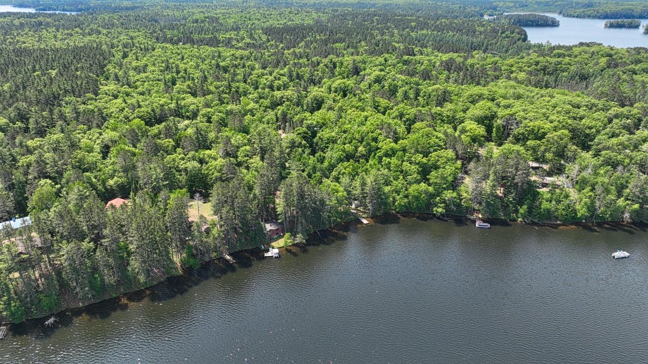 Picture 5 - Lower Buckatabon Lake Property 210497