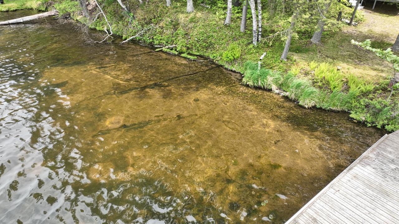 Picture 37 - Lower Buckatabon Lake Property 210497