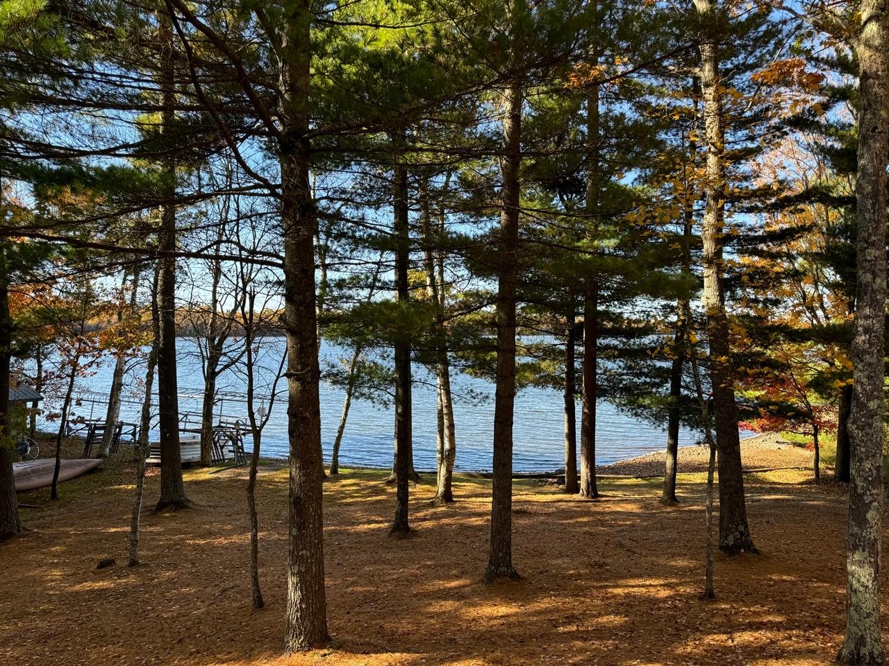 Picture 8 - Wild Rice Lake Property 210520