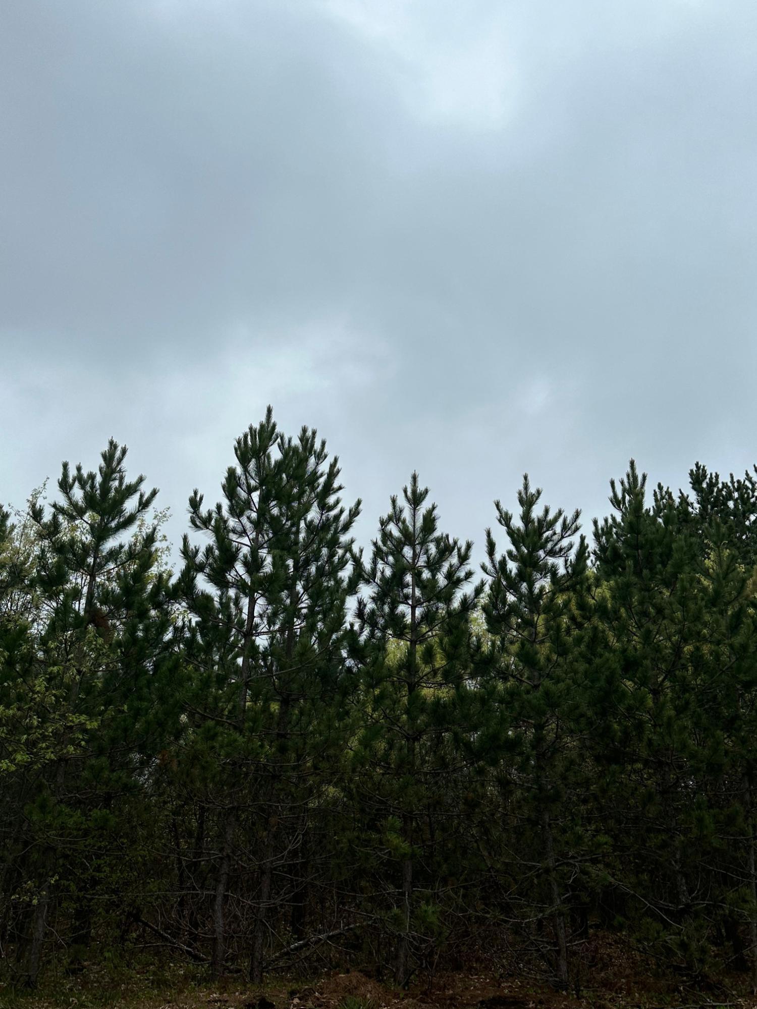 Undocumented Lake lot picture