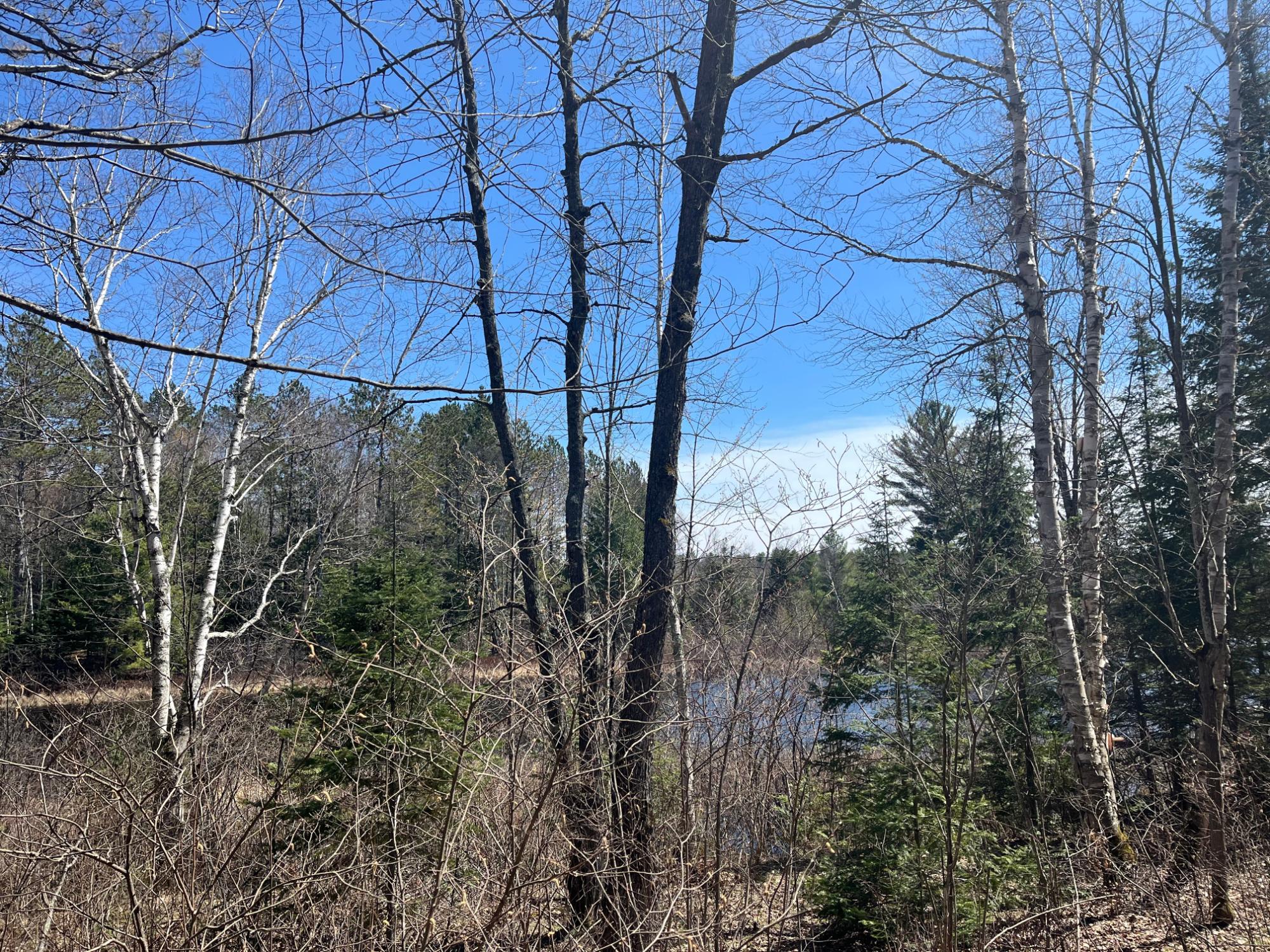 Undocumented Lake Property Off Hwy 70 Photo 10