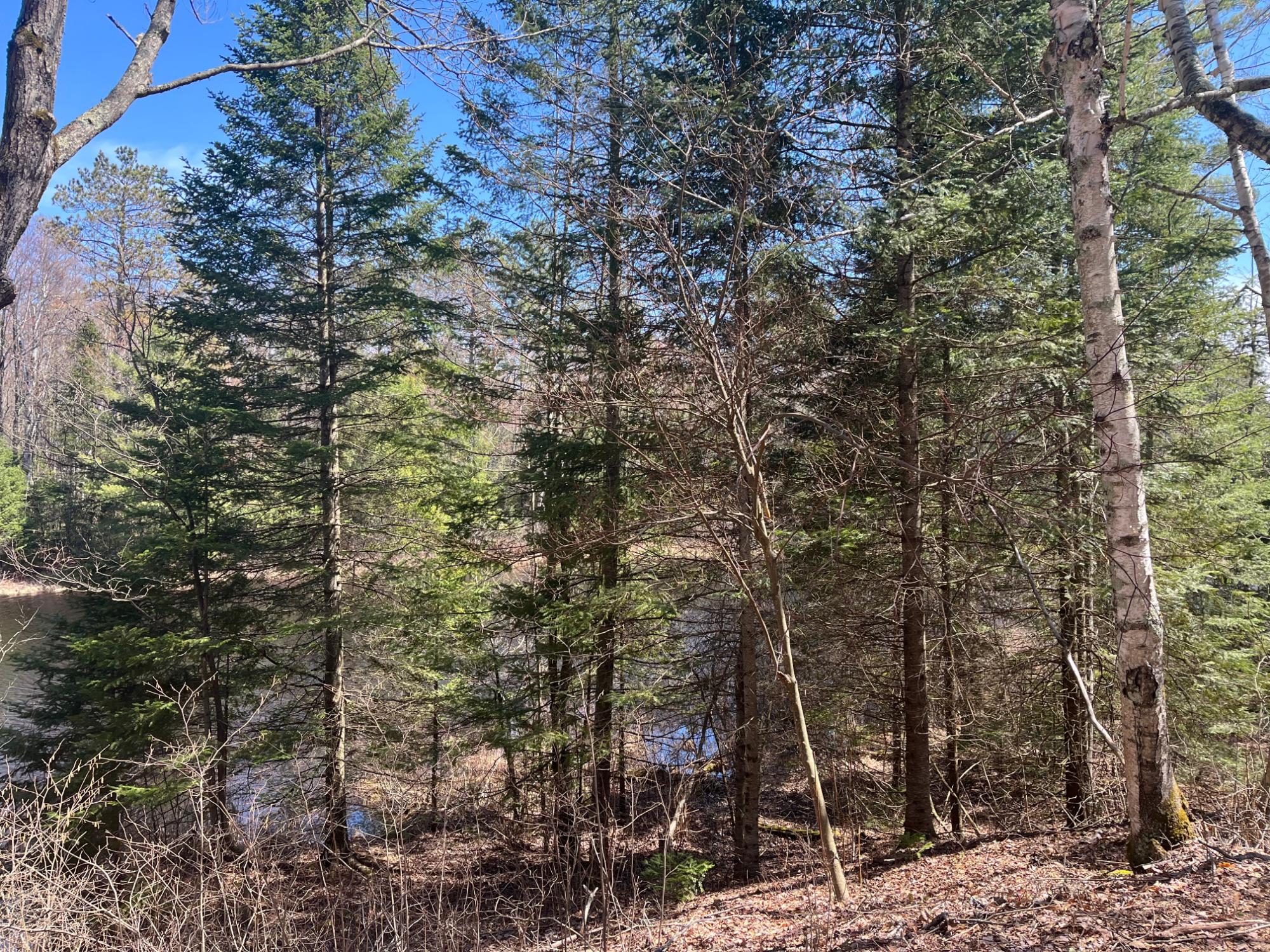 Undocumented Lake Property Off Hwy 70 Photo 11