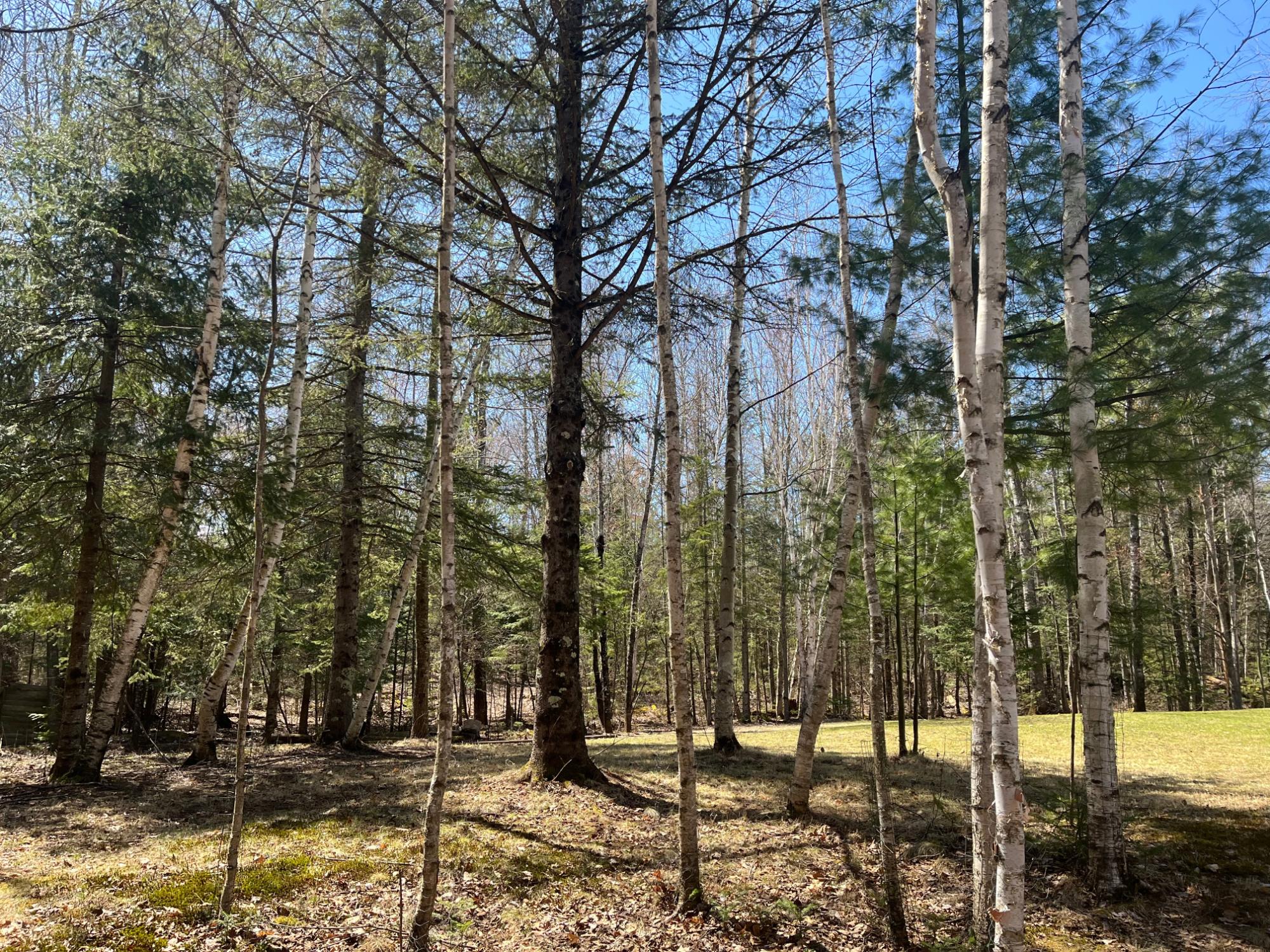 Undocumented Lake Property Off Hwy 70 Photo 12