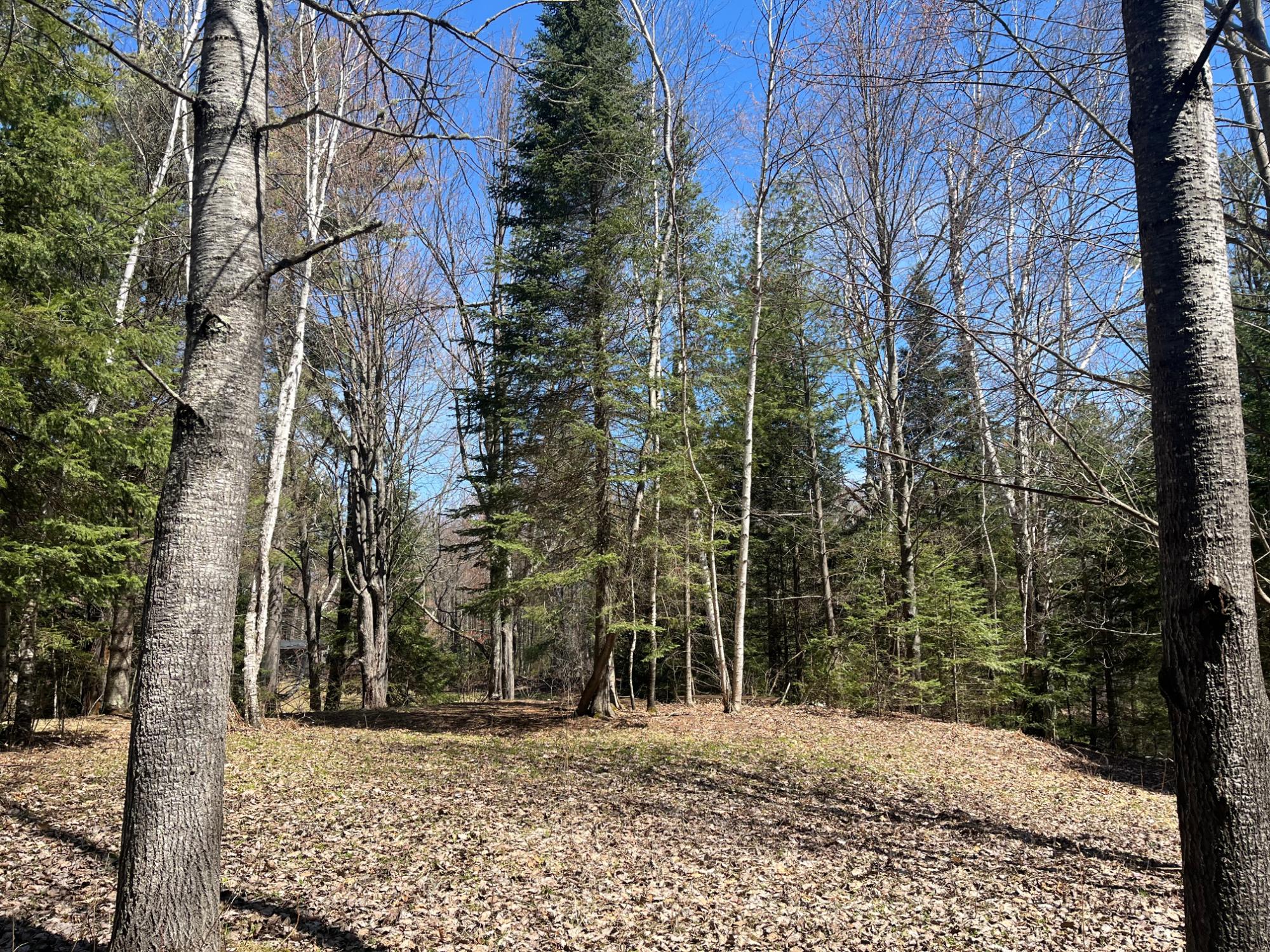 Undocumented Lake Property Off Hwy 70 Photo 5