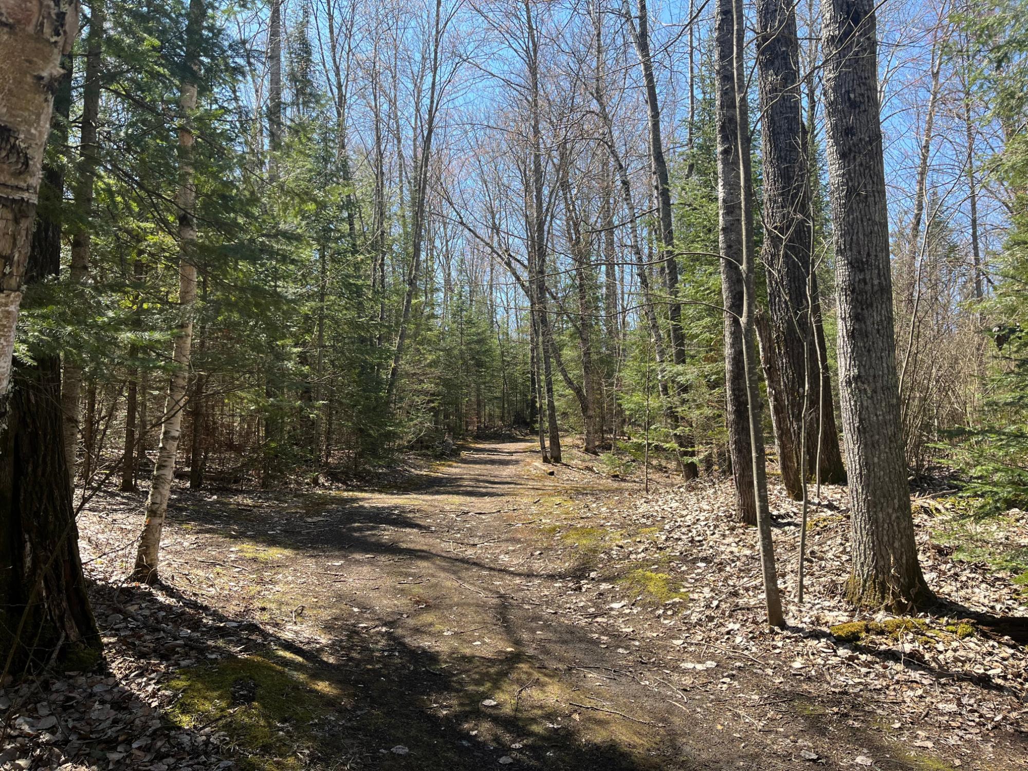 Undocumented Lake Property Off Hwy 70 Photo 6