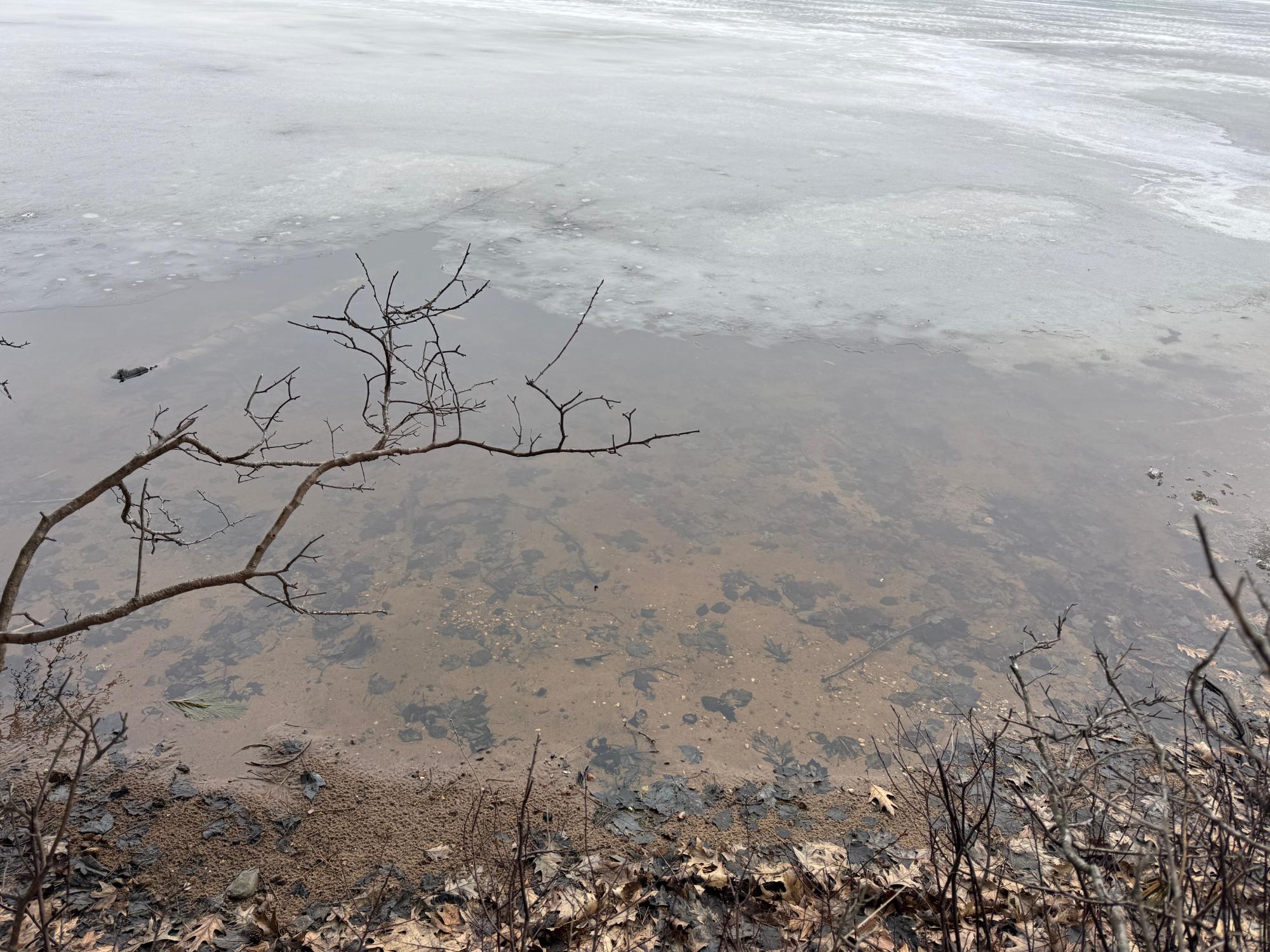 Picture 1 - Third Lake Property 211100