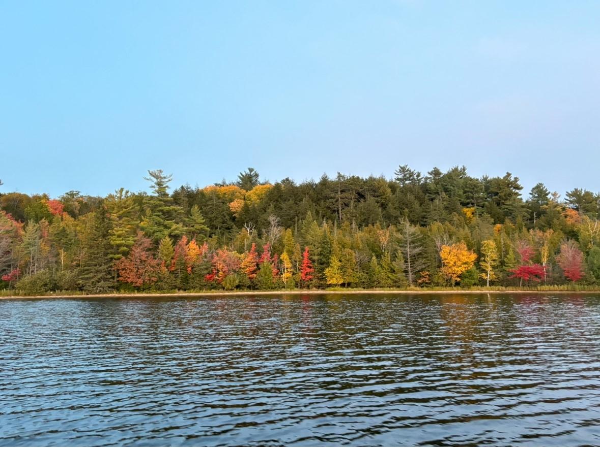 Picture 3 - Sevenmile Lake Property 211155