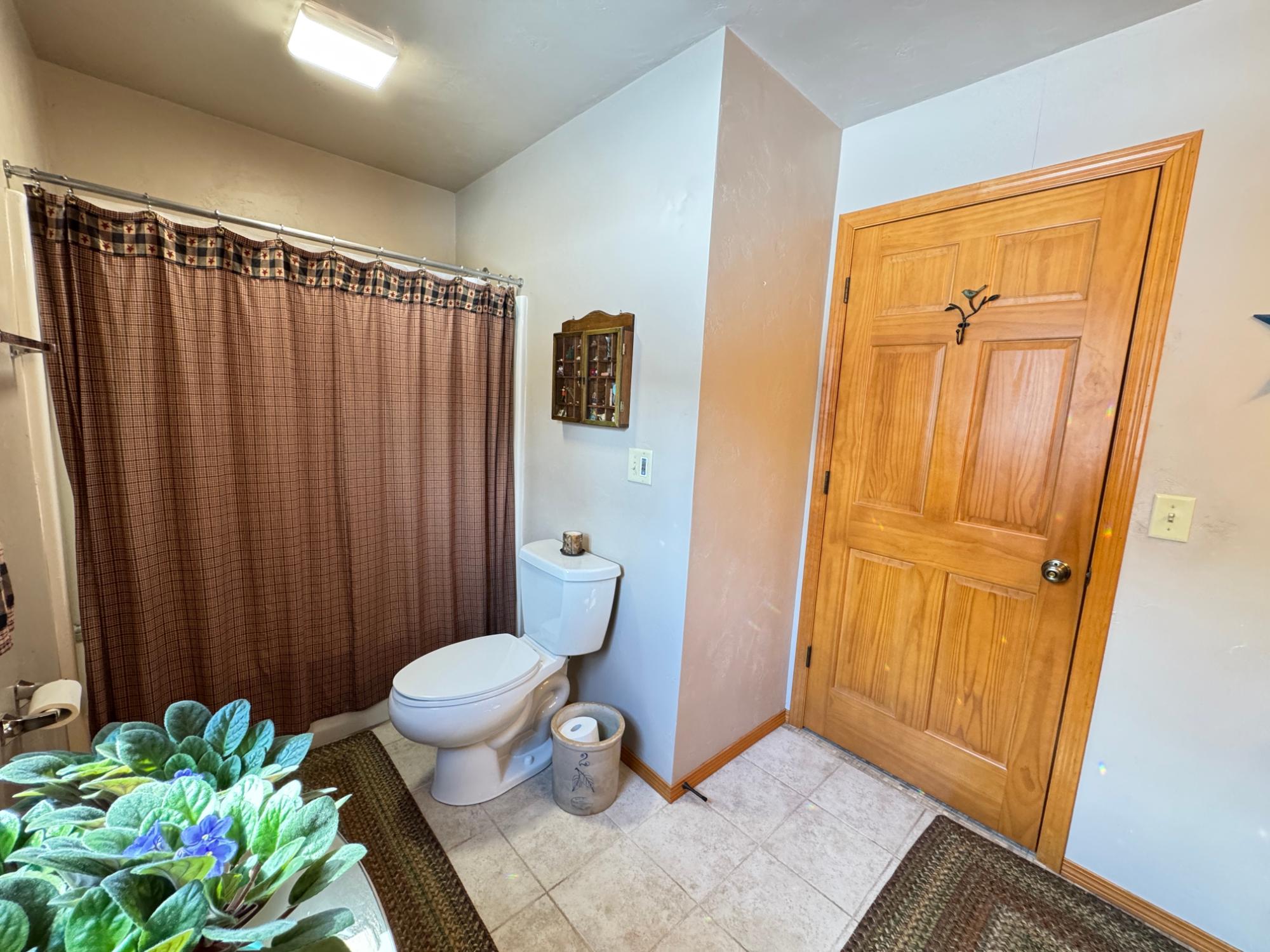 Picture 19 - Indian Lake Property 211193