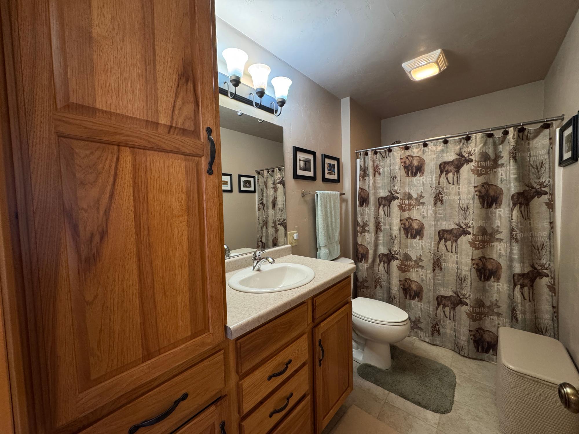 Picture 16 - Indian Lake Property 211193