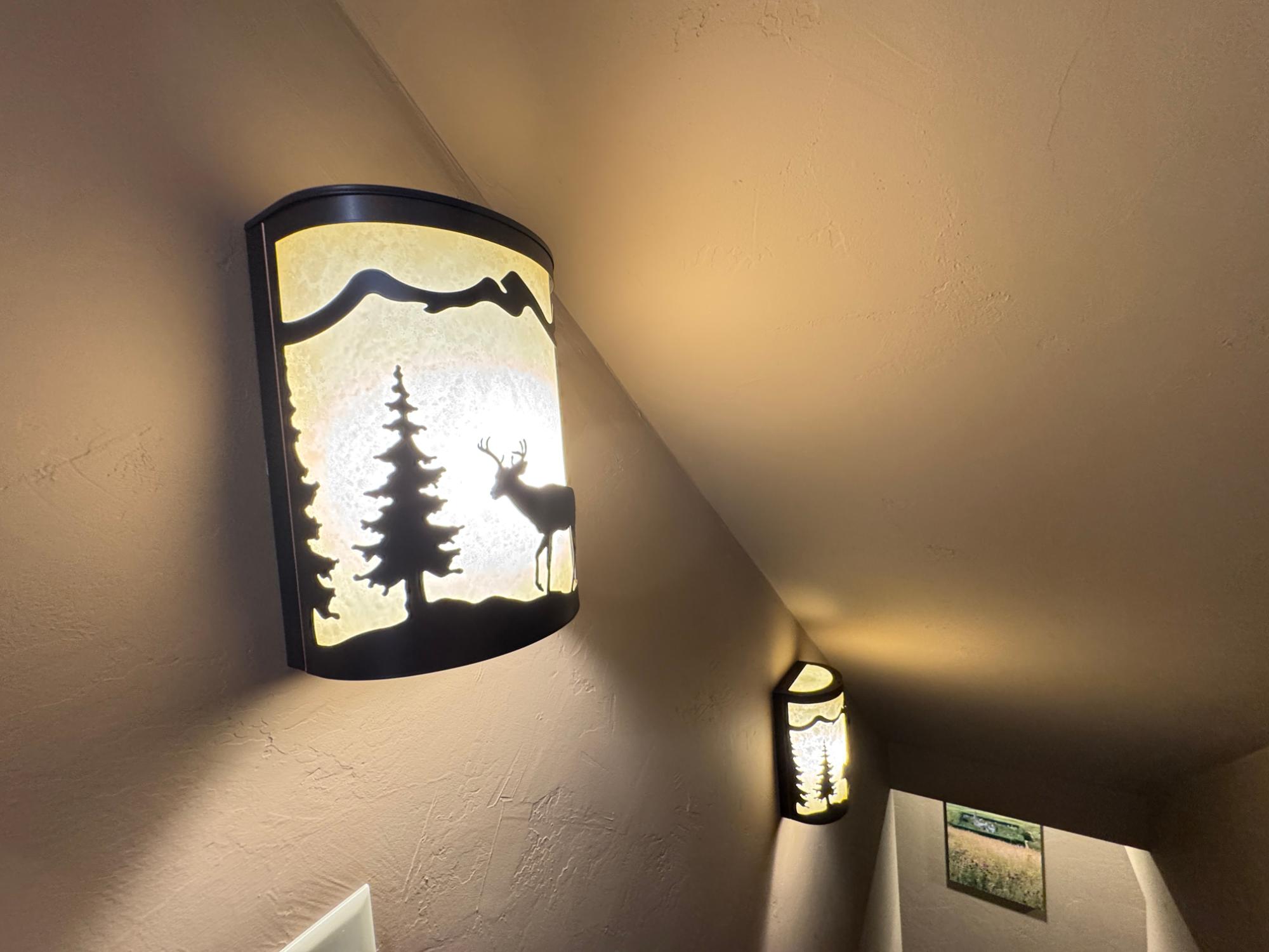 Picture 4 - Indian Lake Property 211193