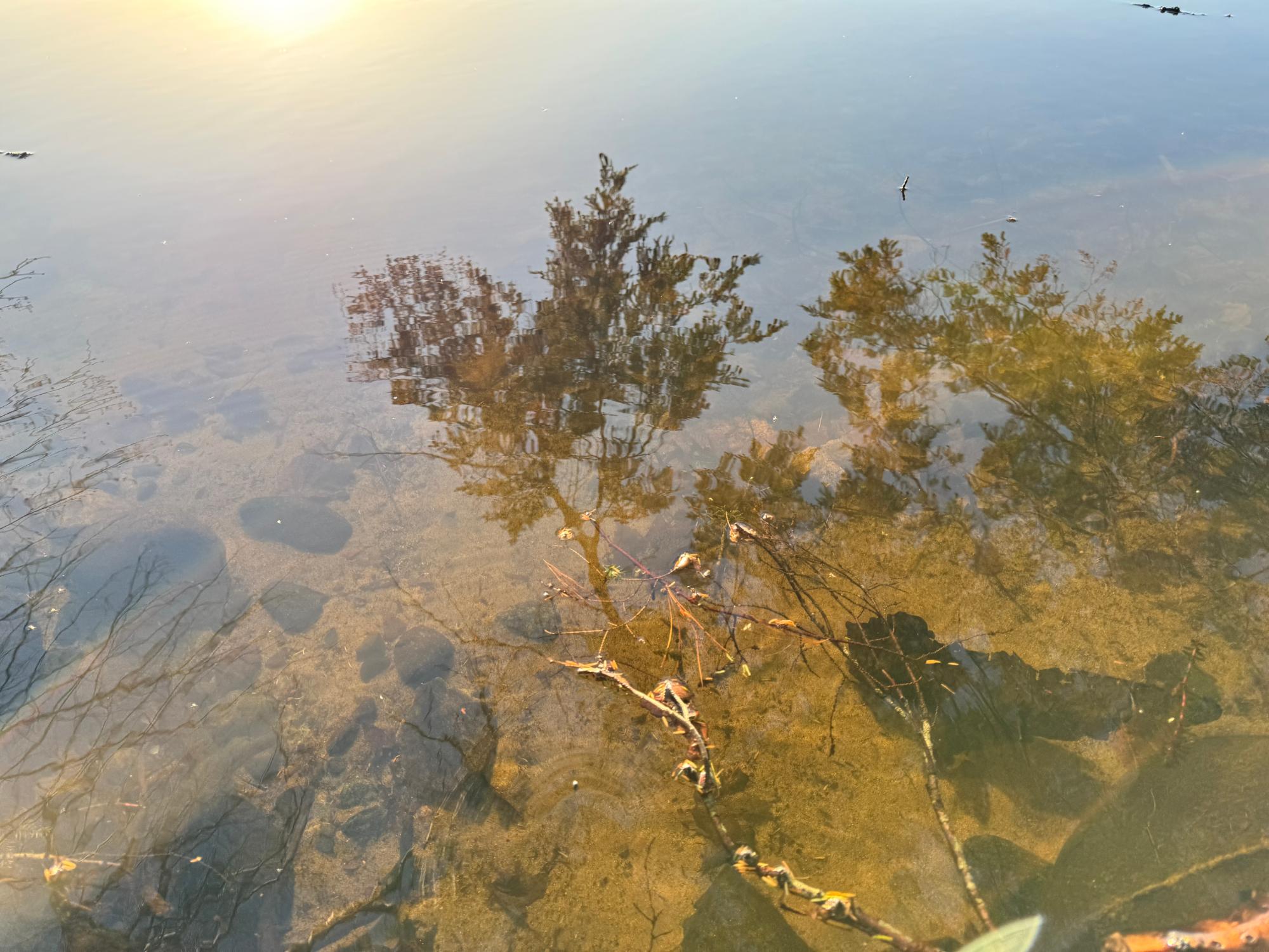 Picture 29 - Indian Lake Property 211193