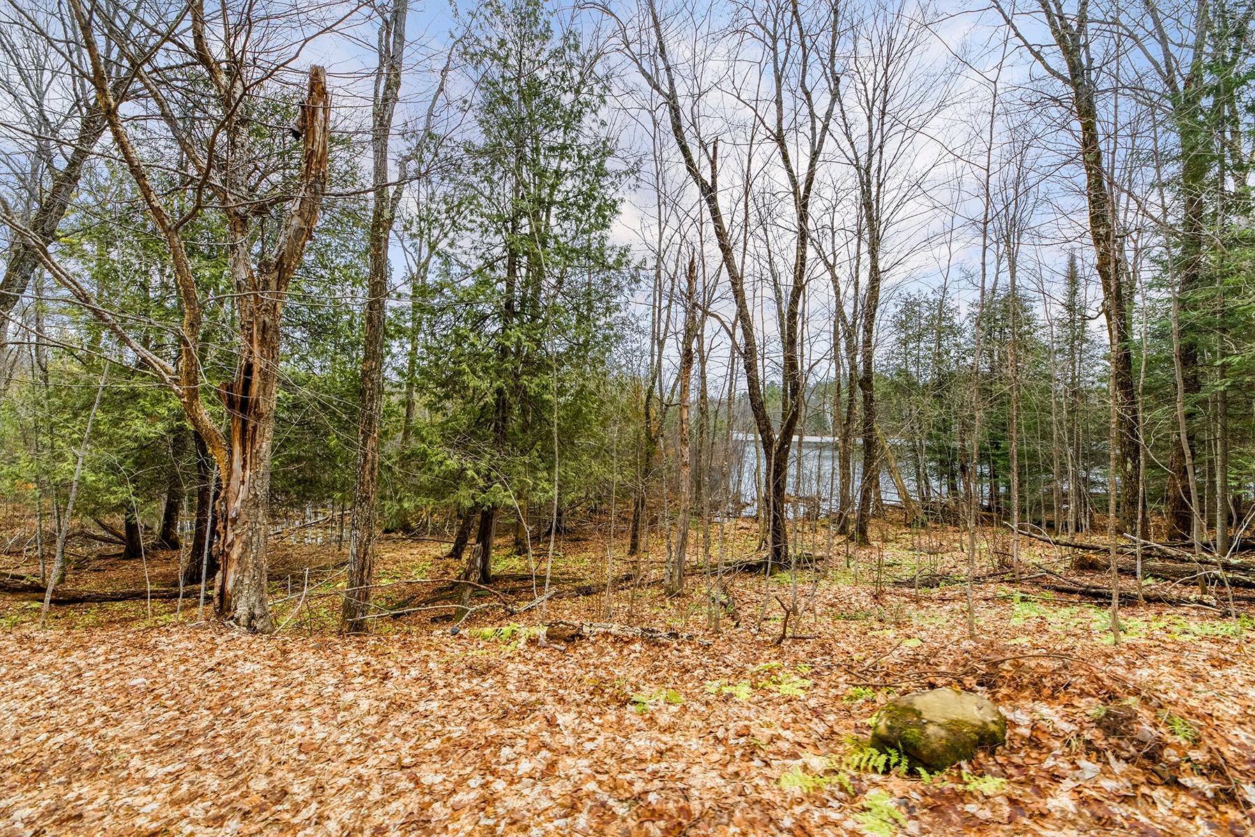 Oxbow Lake Property Off Hiawatha Dr Photo 11