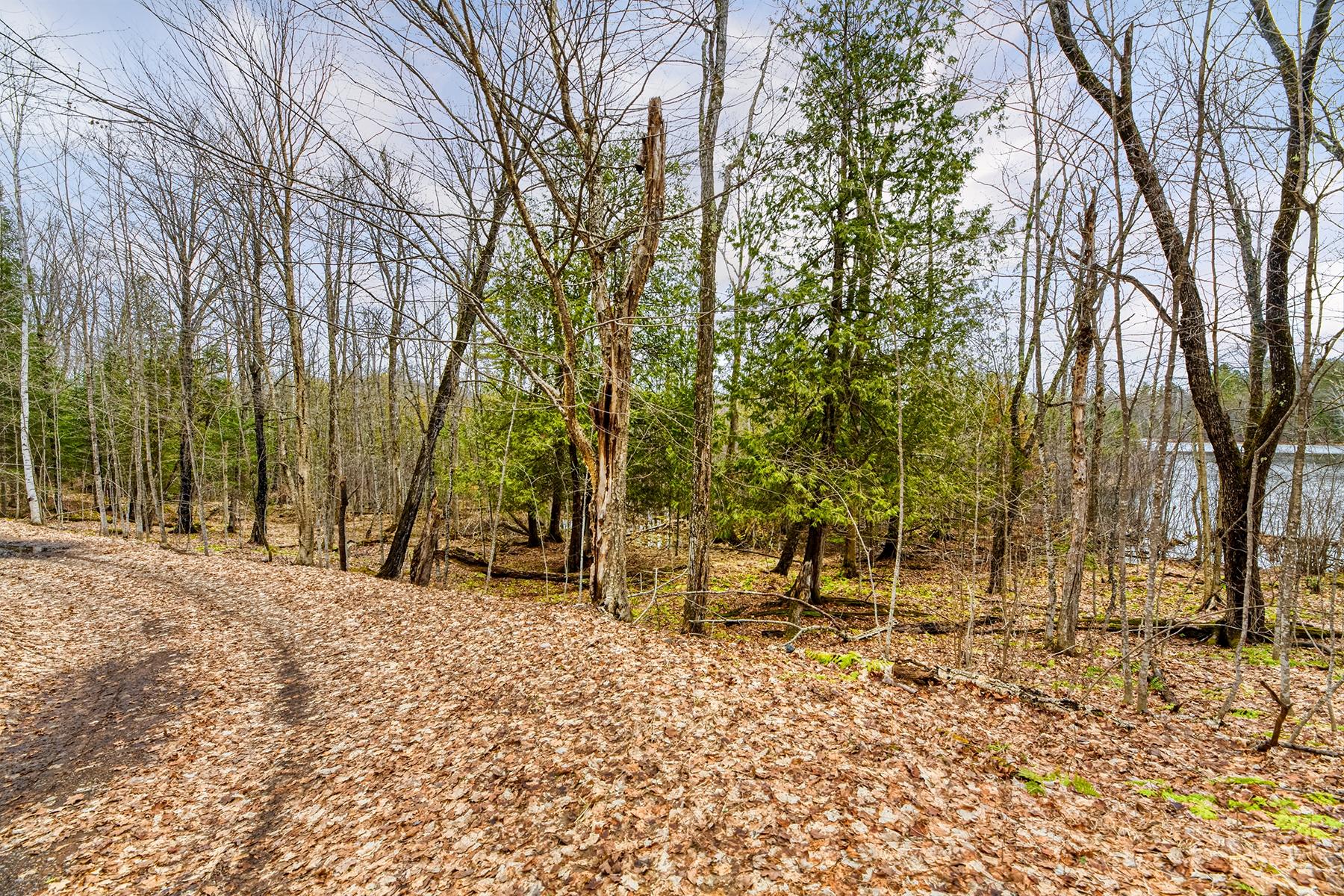 Oxbow Lake Property Off Hiawatha Dr Photo 12