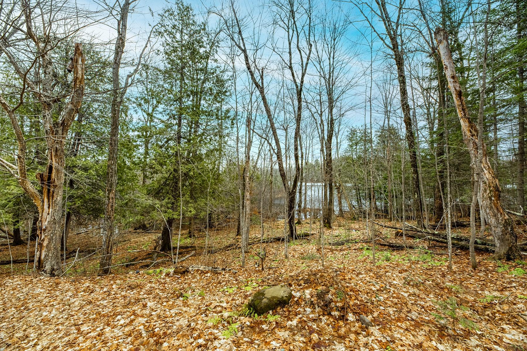 Oxbow Lake Property Off Hiawatha Dr Photo 15