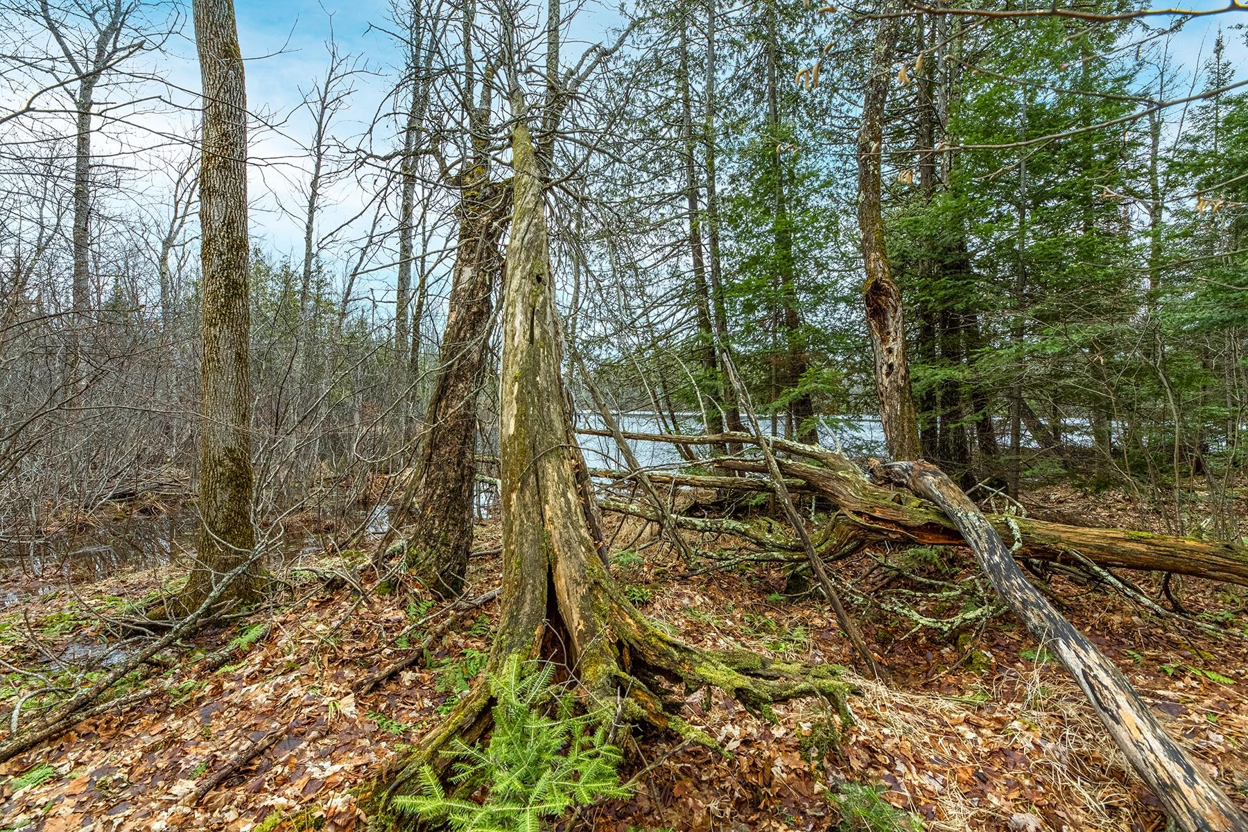 Oxbow Lake Property Off Hiawatha Dr Photo 16