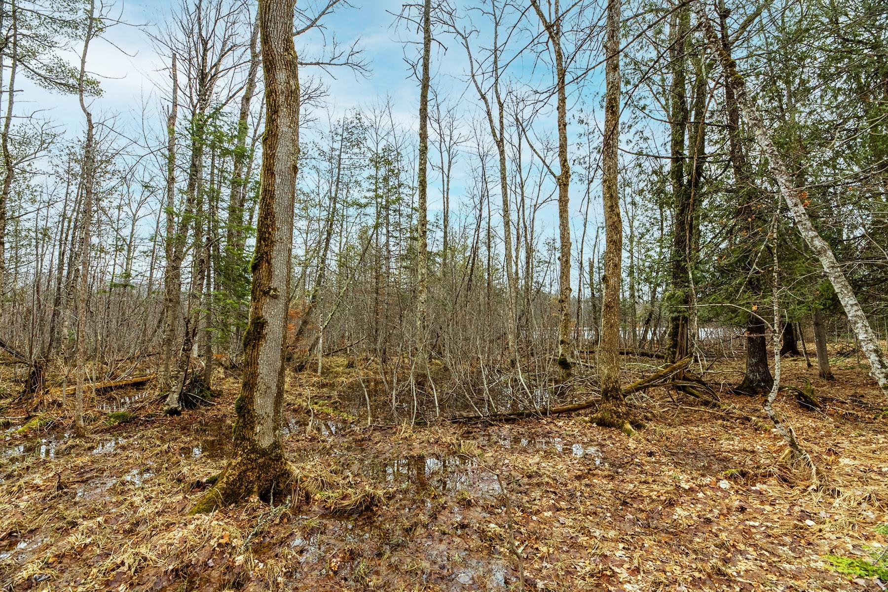 Oxbow Lake Property Off Hiawatha Dr Photo 18