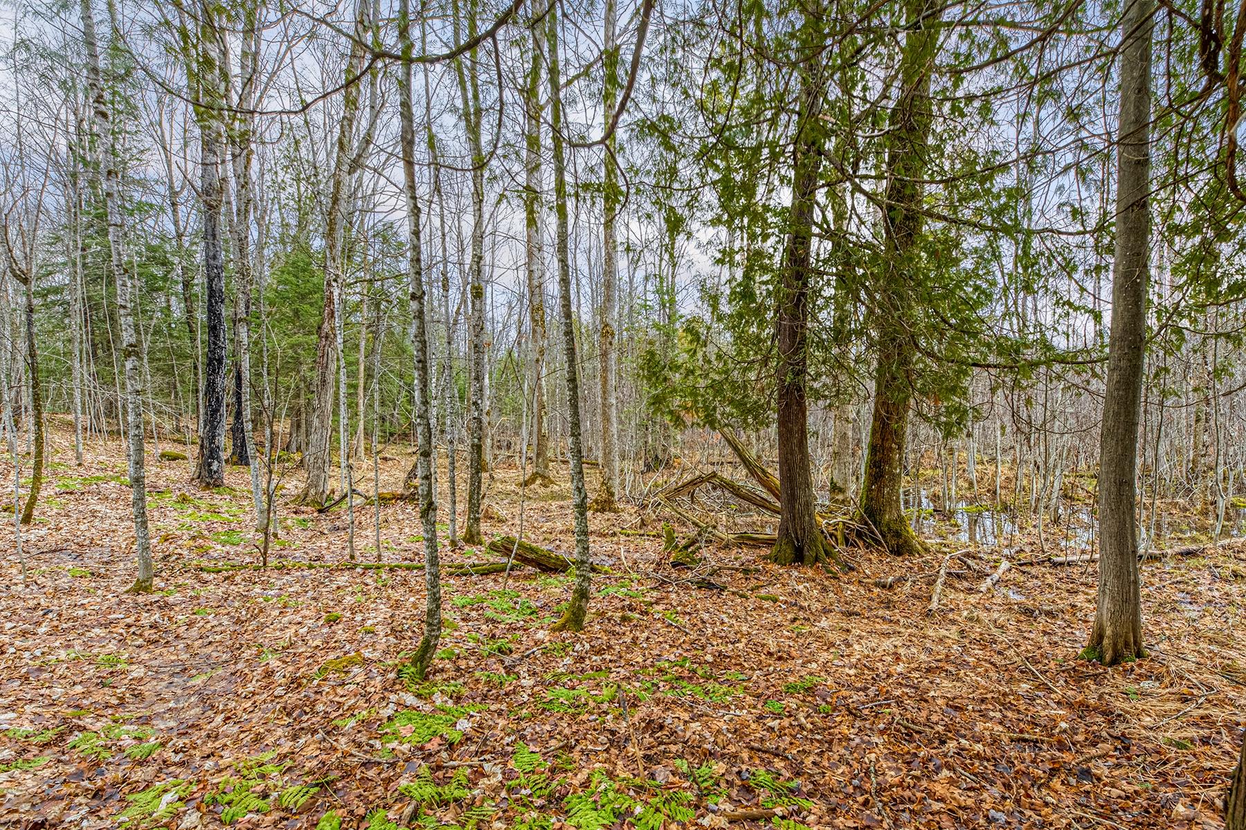 Oxbow Lake Property Off Hiawatha Dr Photo 22