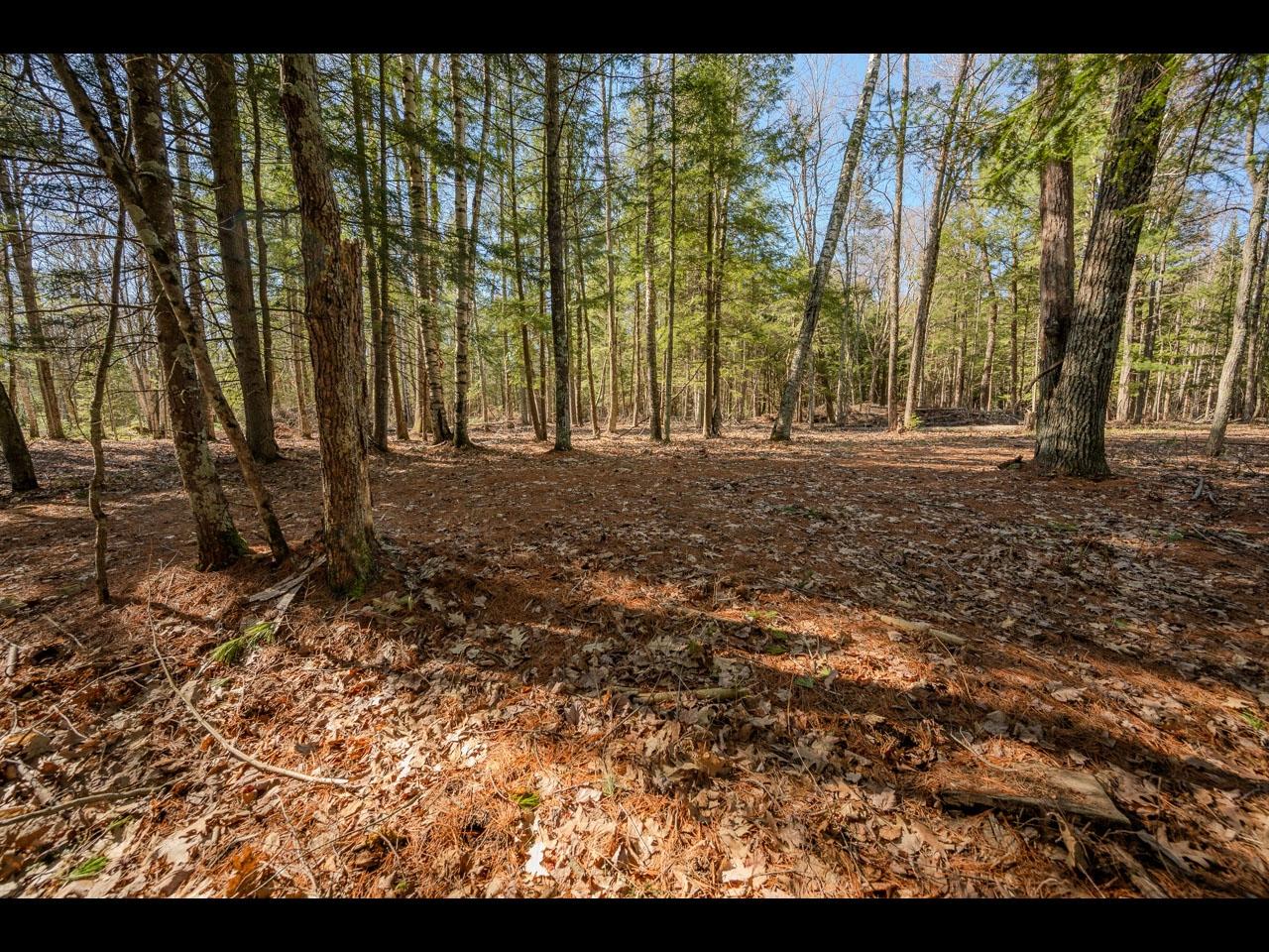 Clearwater Lake Property Lot 17 Memory Ln Photo 4